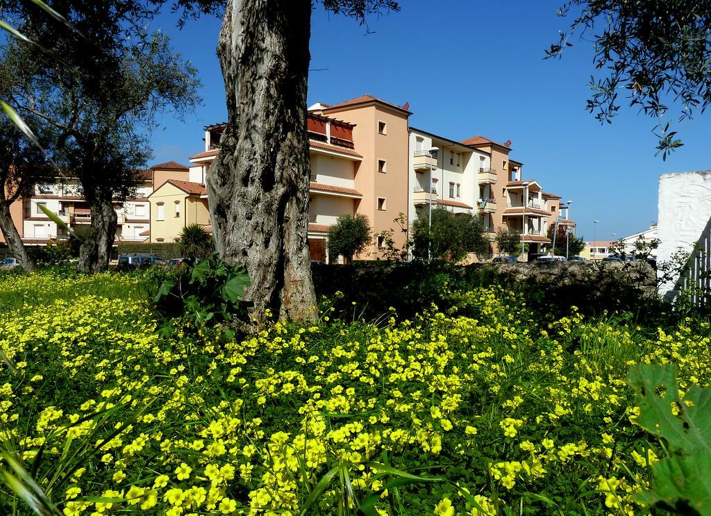 Borgo Degli Ulivi Lägenhet Alghero Exteriör bild
